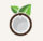 Desiccated Coconut High Fat