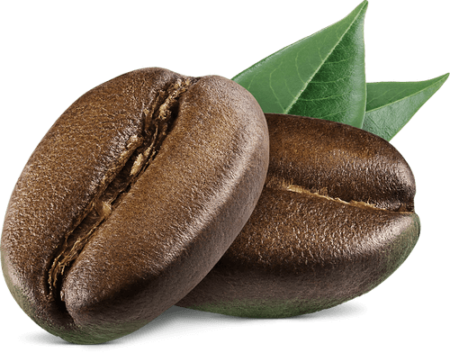 coffee-bean1