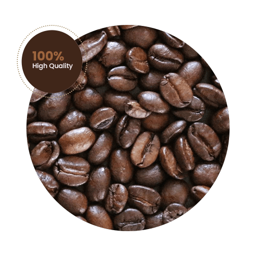 Robusta Robusta